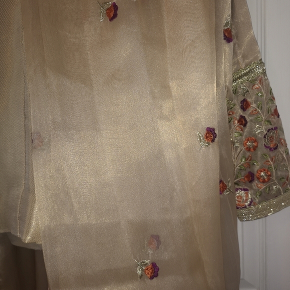 Pakistani Suit - Picture 4 of 11